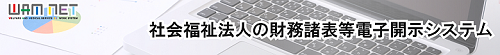 開示システム_バナー